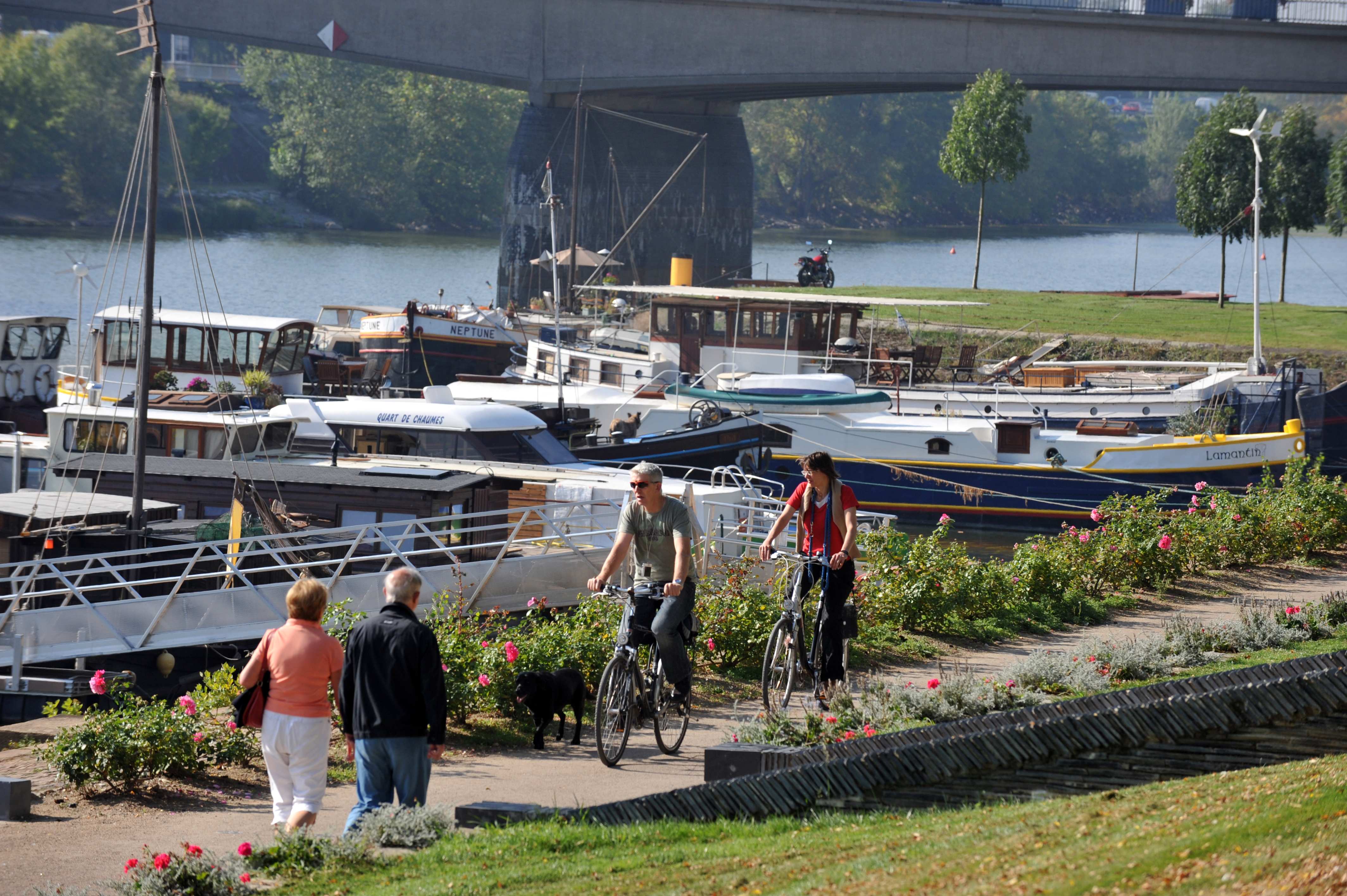 Promenade En Bateau Sur La Maine Angers